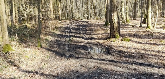 Zustand Waldweg 2023-04-05