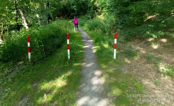 Usingen-Kransberg, Verbindungsweg Am Wellenhaag - K739, Pfostensperrung im Wald im Juli 2020