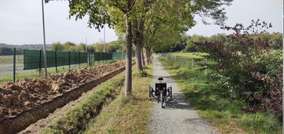 Usingen, Hattsteiner Allee > Baumanahmen ohne legale Passierbarkeit und ohne Umleitung