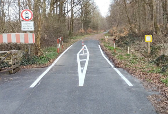 Wegzustand Wehrheim-Obernhain, Saalburgstrae / Waldbergang zur Saalburg hin - Pfostenmarkierung