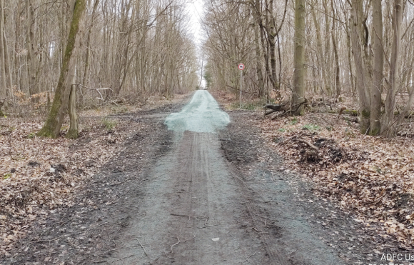 Wegzustand Wehrheim - Usingen im Wald (Ausbauende)