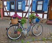 Fahrrad-Stilleben in Wehrheim